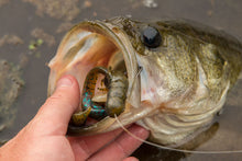 Load image into Gallery viewer, Cliff&#39;s Wild Craw