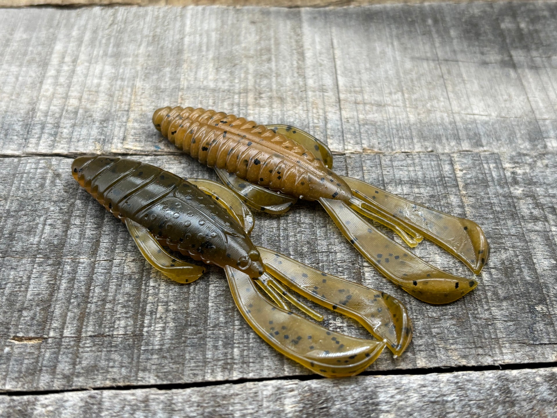 bugeye fishing lures Wild Bug – V & M Baits