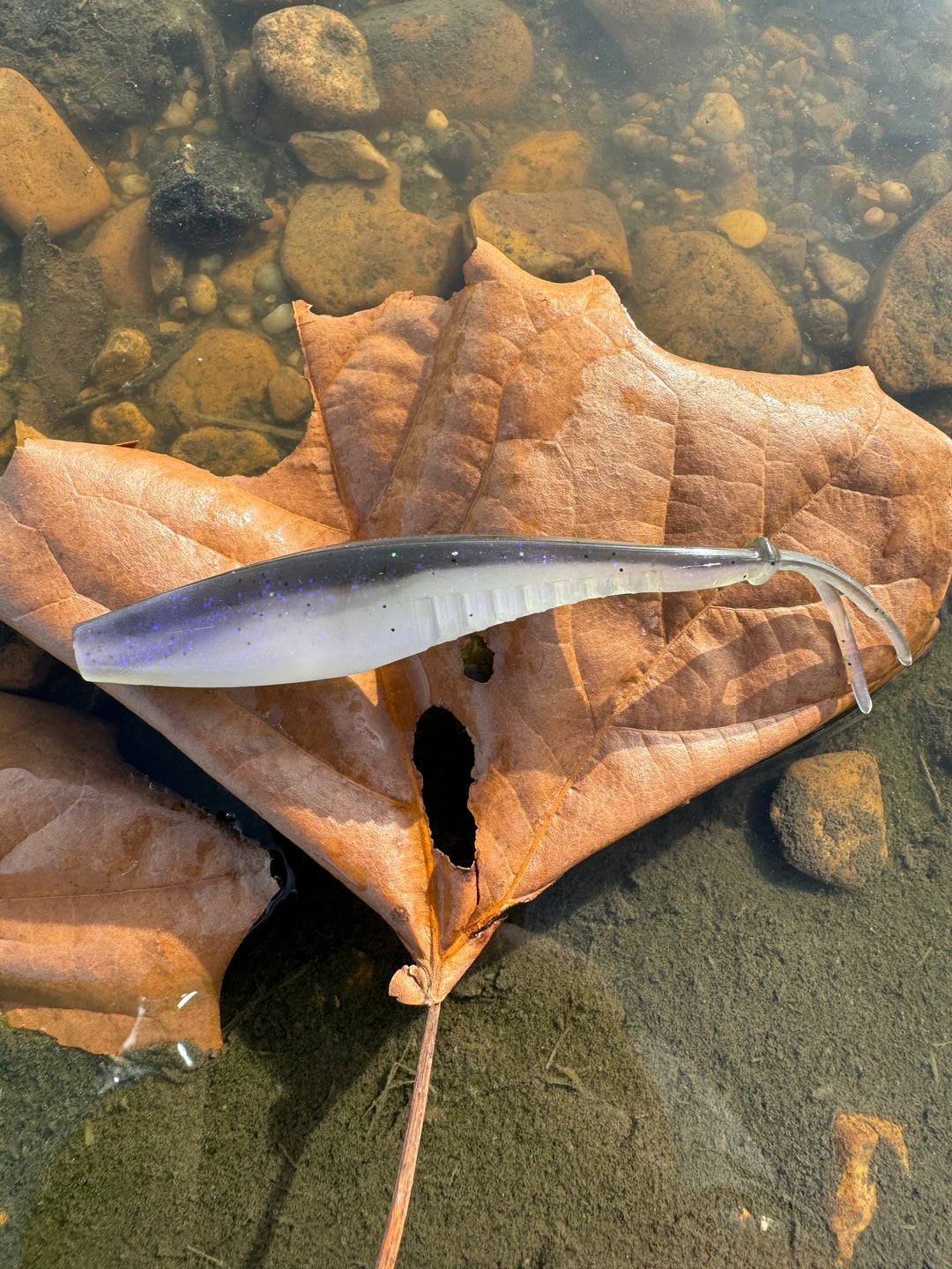 5" HYPER SHAD
