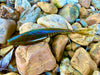 5" HYPER SHAD