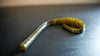 Straight Wild Worm