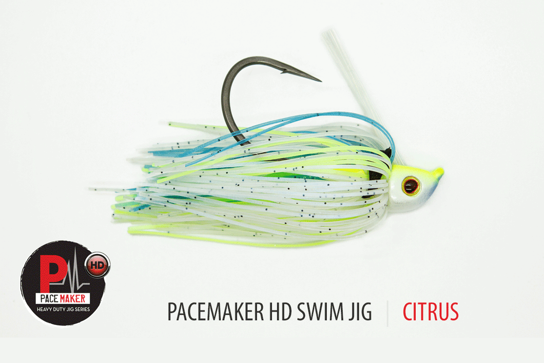 HD Swim Jig