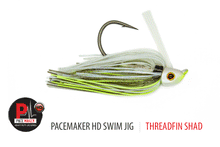 Load image into Gallery viewer, HD Swim Jig