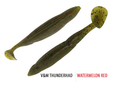 Thunder Shad