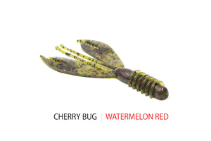 Cherry Bug