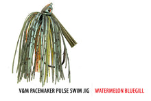 Load image into Gallery viewer, Pulse Swim Jig