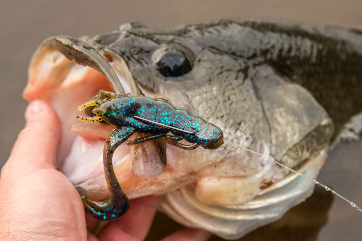 V&M Baits - Bloody Craw has been added in the J-Bug! Available Soon!  #vandmbaits #fishing #bassfishing